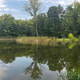 Review photo of Alum Creek State Park Campground by Tara R., August 15, 2026