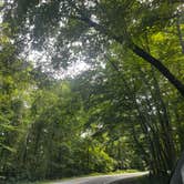 Review photo of Alum Creek State Park Campground by Tara R., August 15, 2026