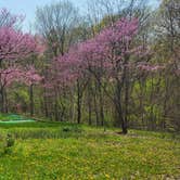Review photo of Alum Creek State Park Campground by John R., April 21, 2025