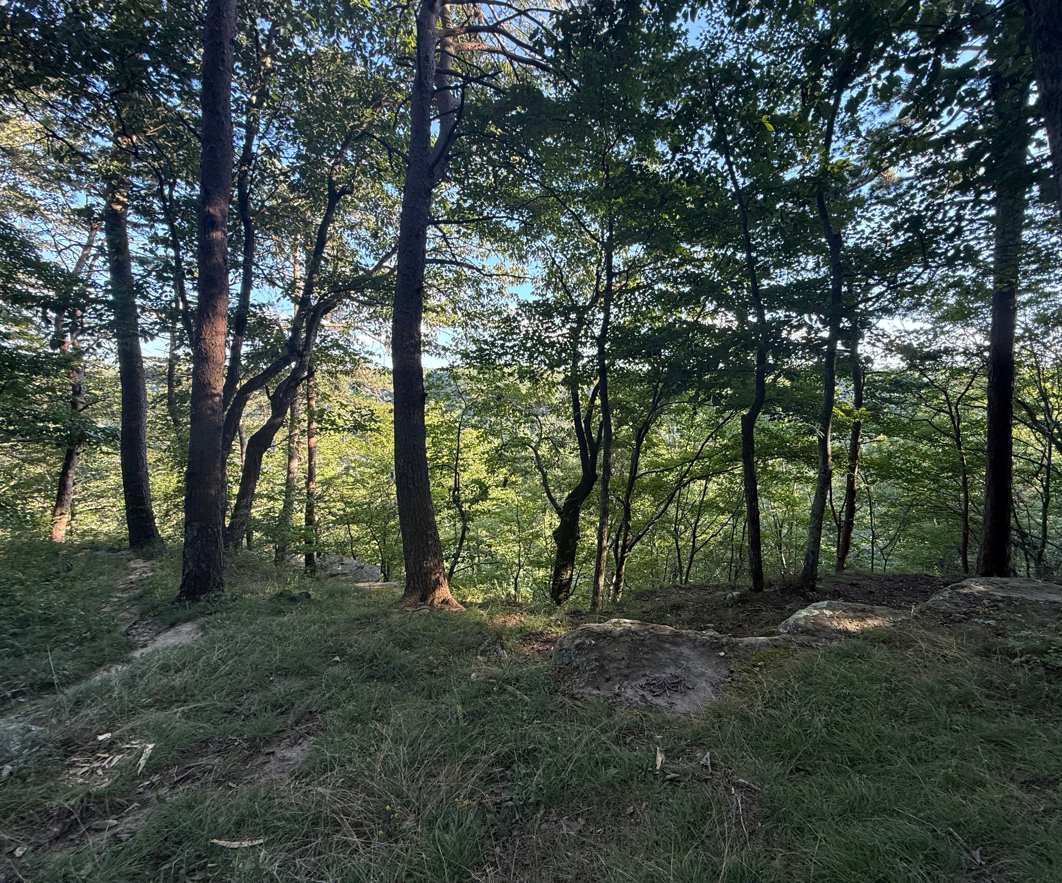 Camper-submitted photo at Alum Gap Campground — Savage Gulf State Park near Signal Mountain, TN