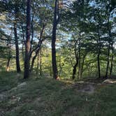 Review photo of Alum Gap Campground — Savage Gulf State Park by Hannah K., August 30, 2025