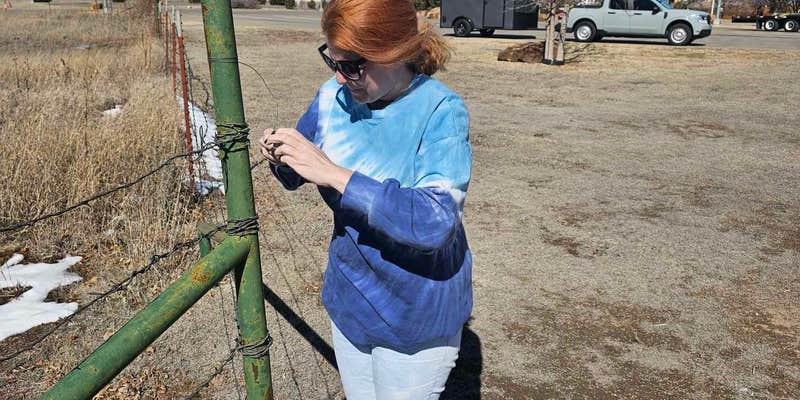 Camper submitted image from Amarillo Travel Center I-40