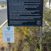 Review photo of Amboy Crater Camp by Rob , January 31, 2026