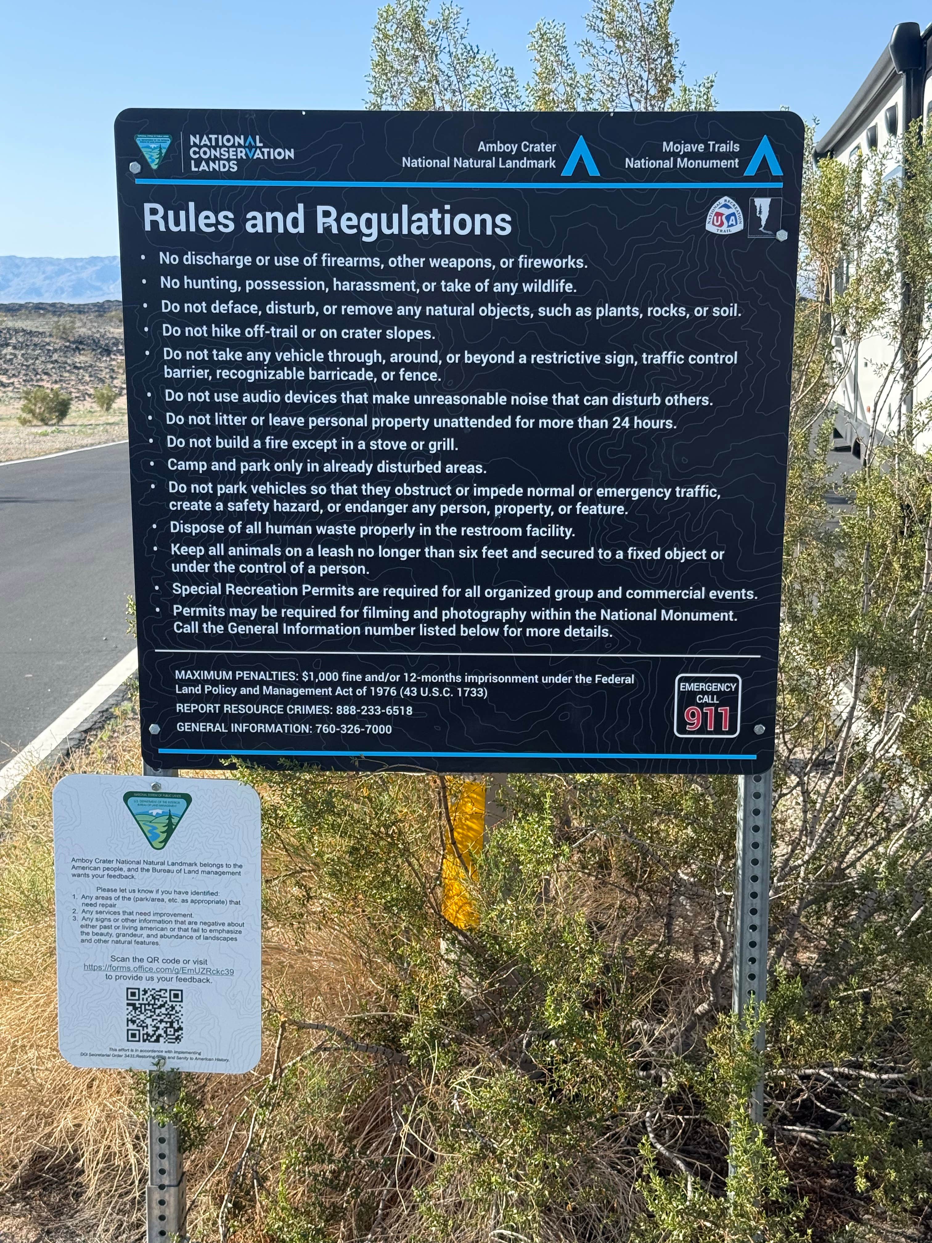 Camper submitted image from Amboy Crater Camp - 1