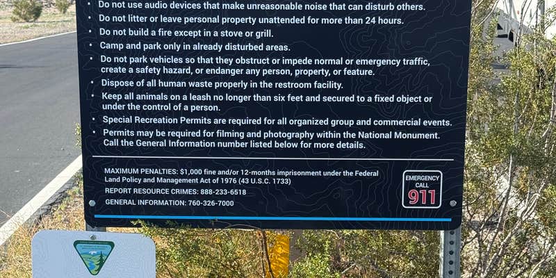 Camper submitted image from Amboy Crater Camp