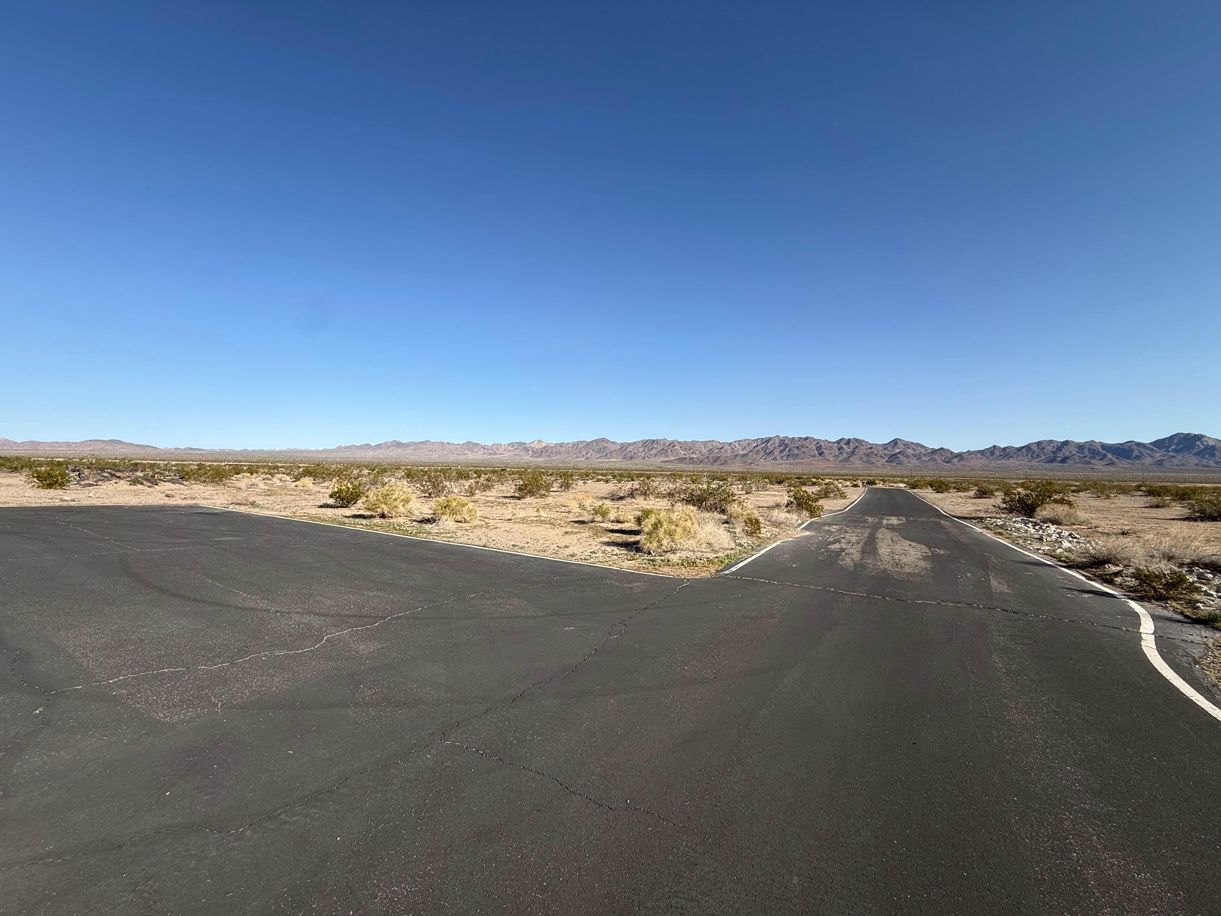 Camper submitted image from Amboy Crater Camp - 2