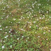 Review photo of American Heritage Campground by steve F., May 25, 2025
