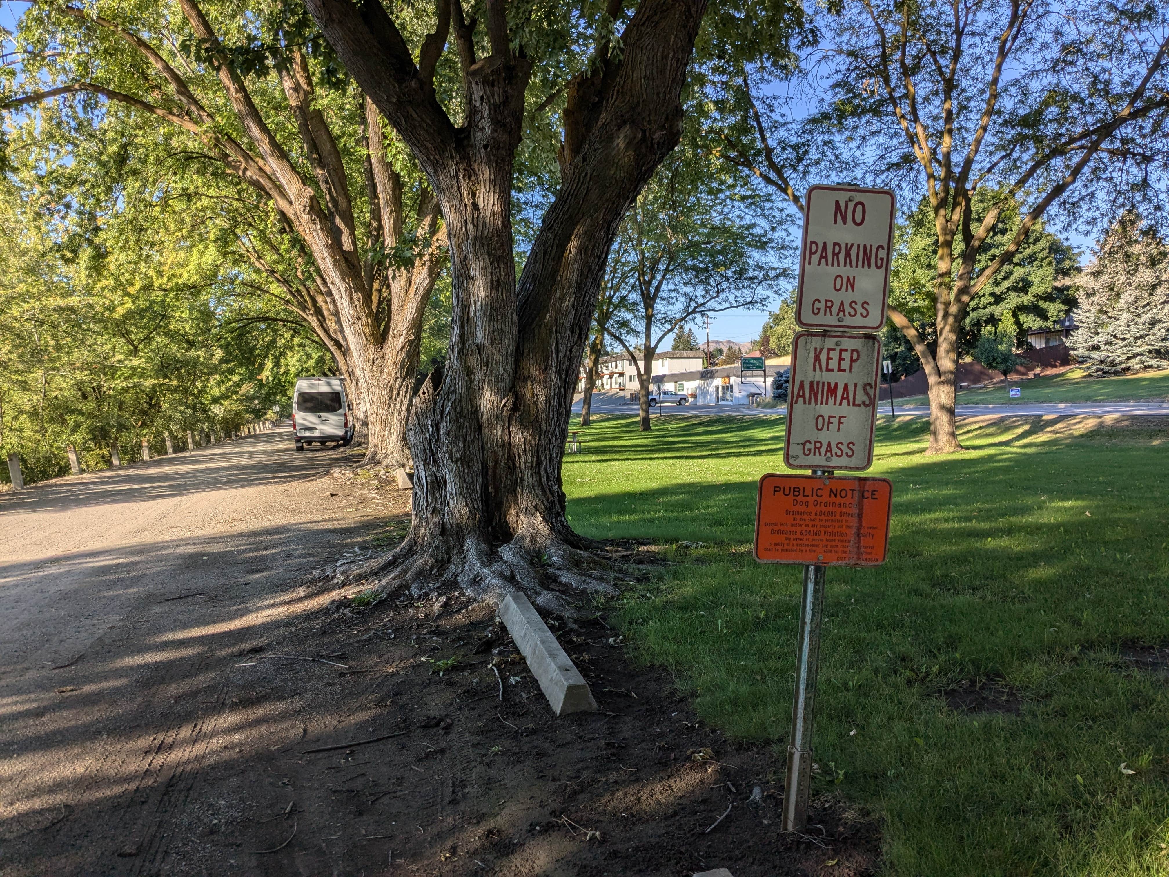 Camper-submitted photo at American Legion Park near Twisp, WA