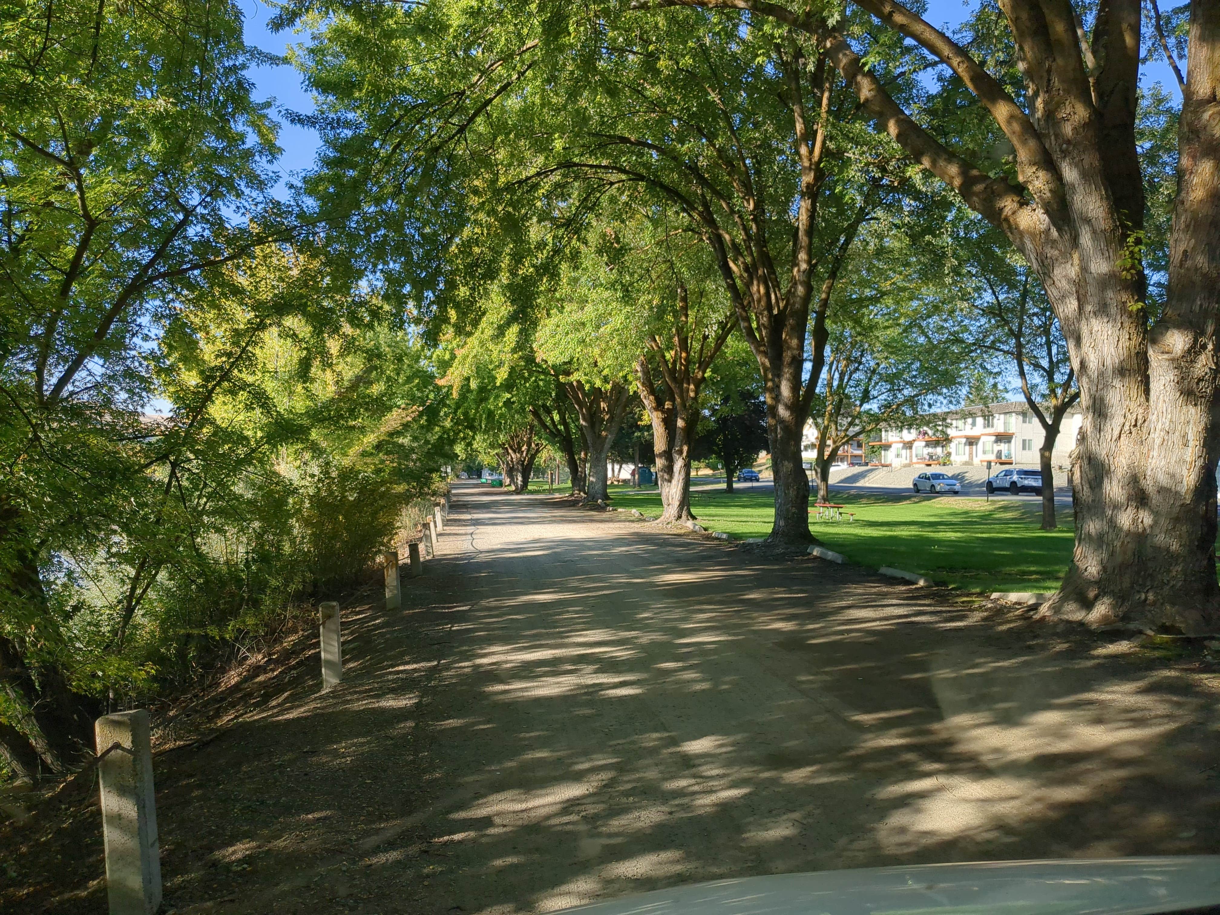 Camper submitted image from American Legion Park - 3