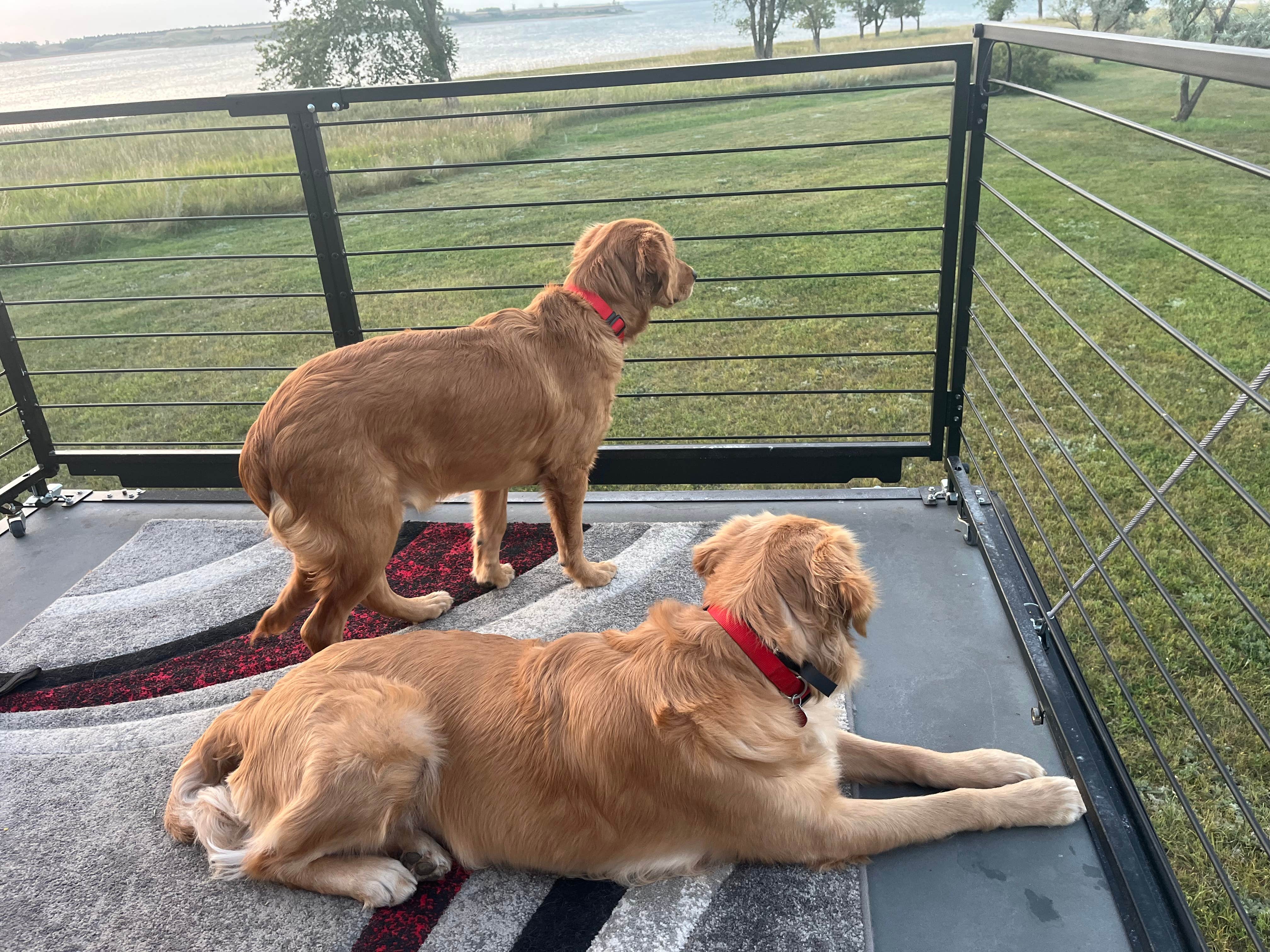 Bruce S.'s photo of camping with pets at American RV Park near Fairfield, ND