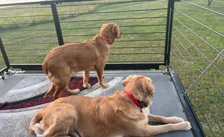 Bruce S.'s photo of camping with pets at American RV Park near Theodore Roosevelt National Park