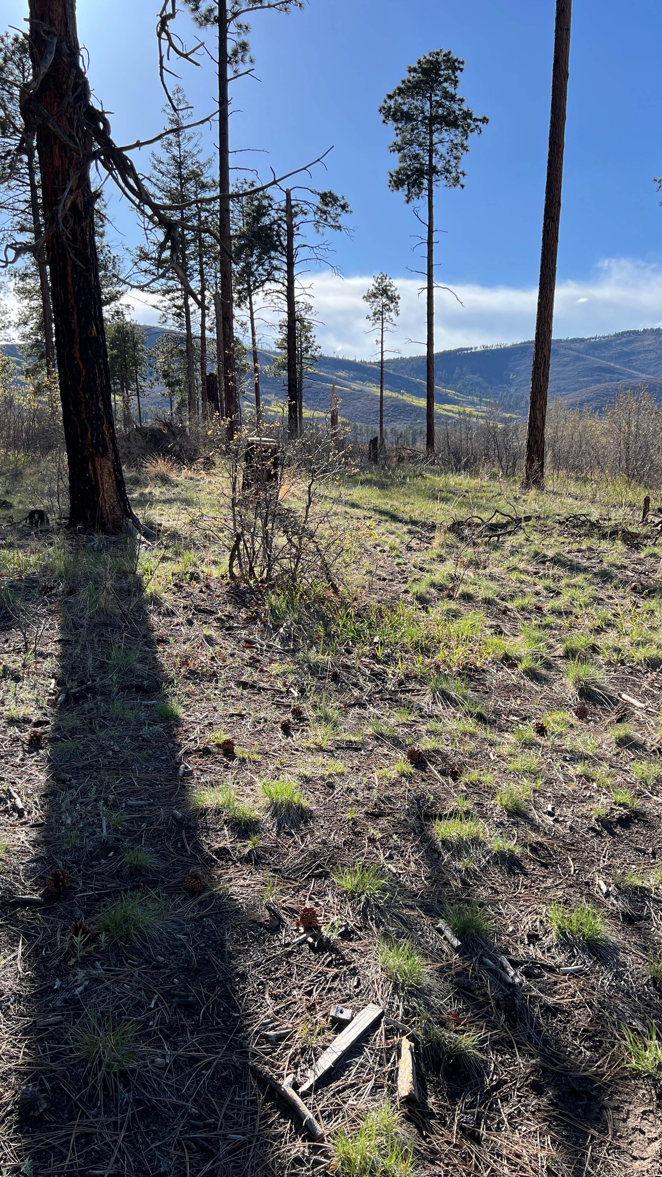 Camper-submitted photo at American Springs near Abiquiu Lake