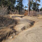 Review photo of American Springs by Rain , January 6, 2026