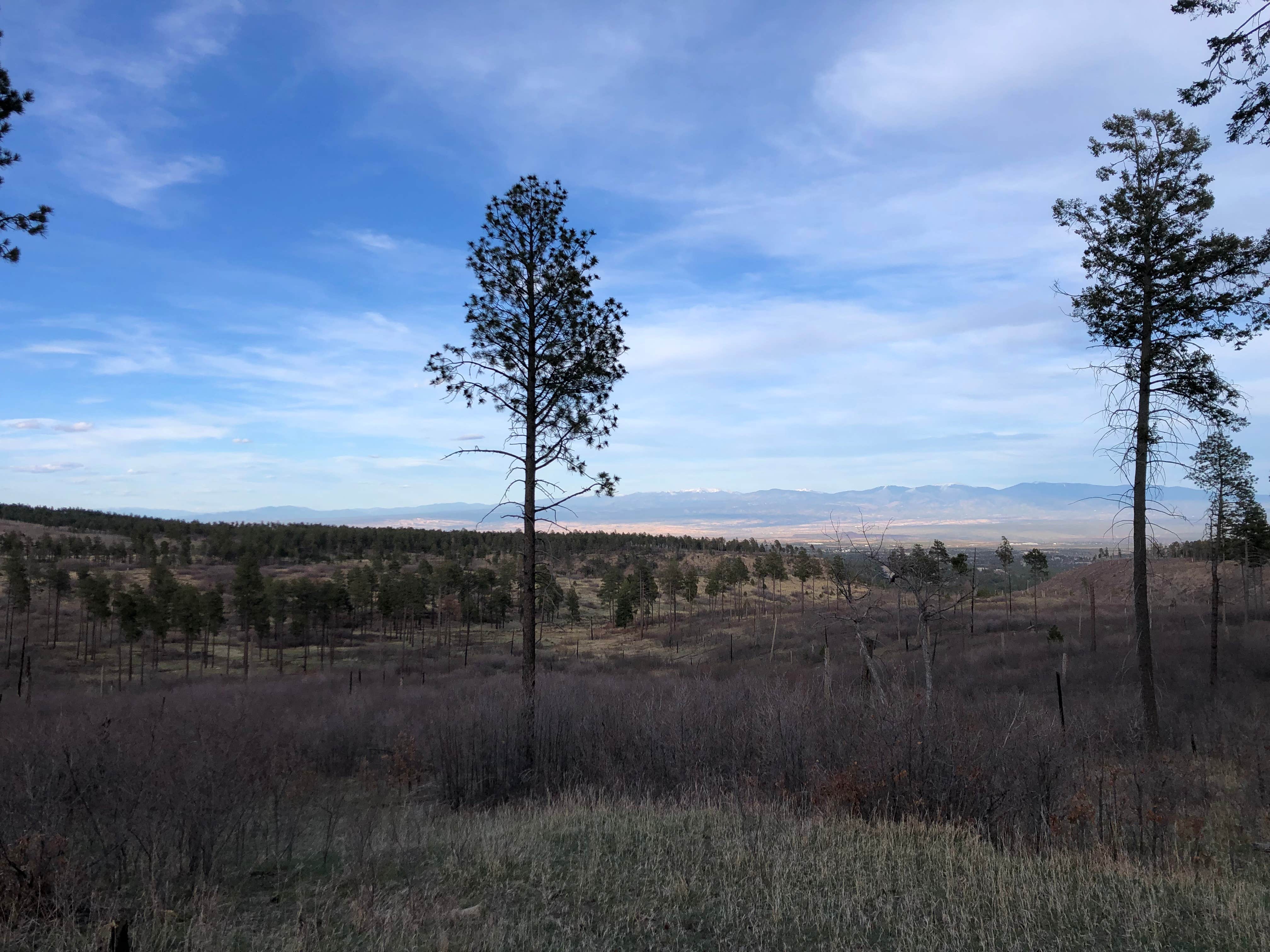 Matthew N.'s photo of a dispersed camping area at American Springs near Abiquiu Lake