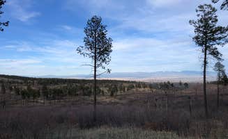 Matthew N.'s photo of a dispersed camping area at American Springs near Bernalillo, NM