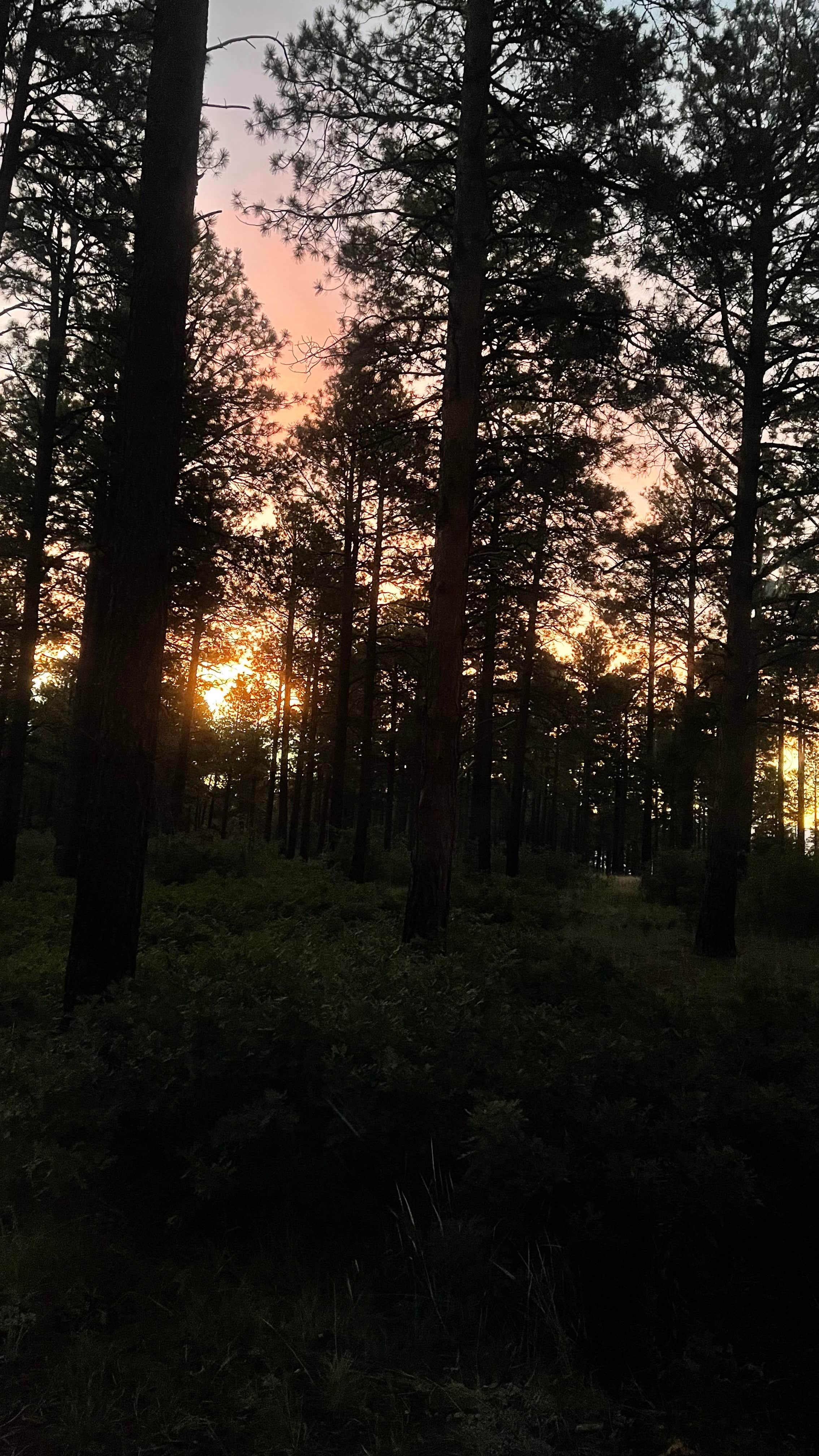 Camper-submitted photo at American Springs near Abiquiu Lake