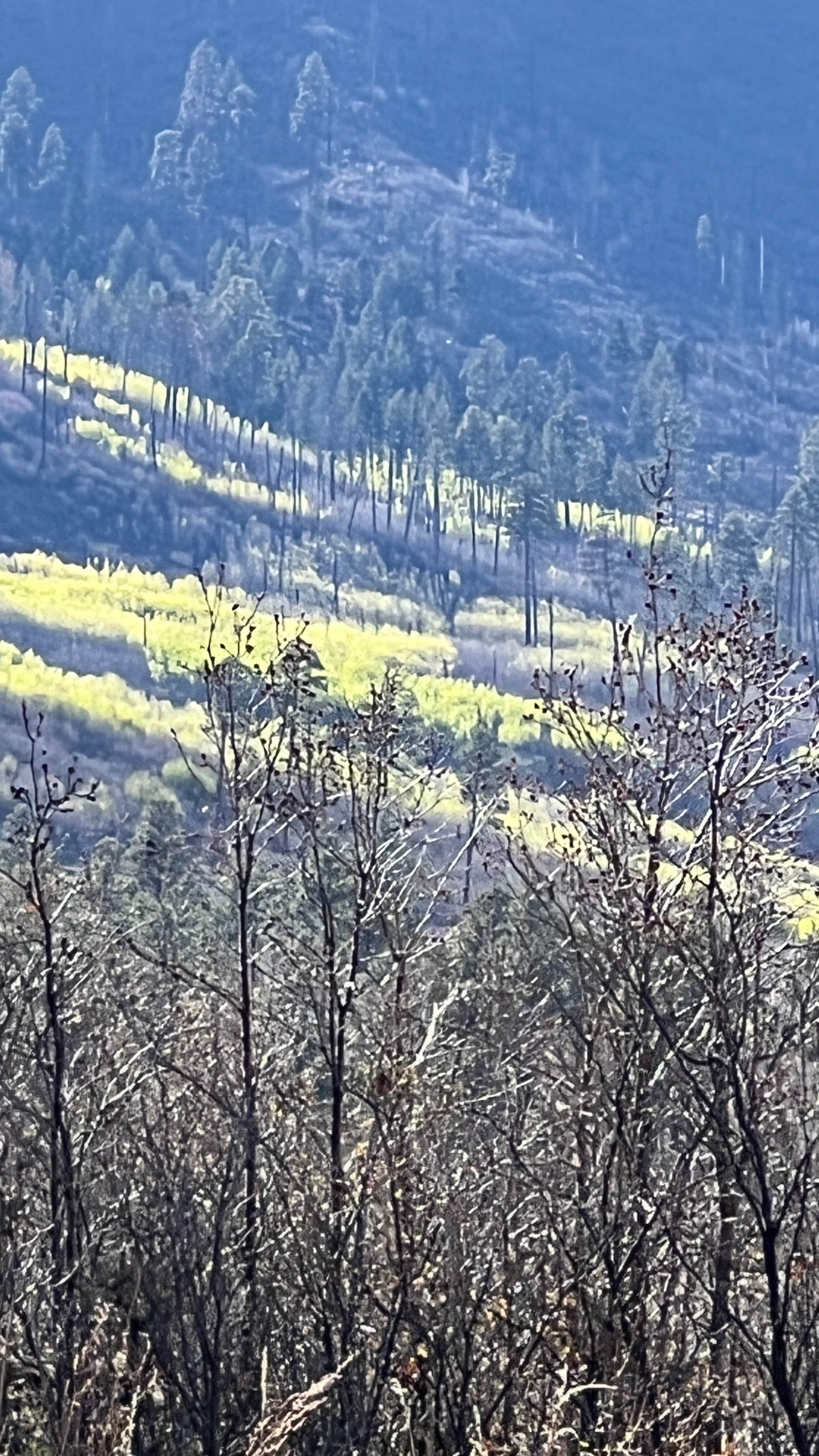 Camper-submitted photo at American Springs near Abiquiu Lake