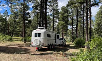 Camping near Pajarito Springs (Dispersed): American Springs, Los Alamos, New Mexico