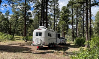Camping near Cochiti Recreation Area: American Springs, Los Alamos, New Mexico