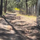Review photo of American Springs by Mark , May 11, 2025