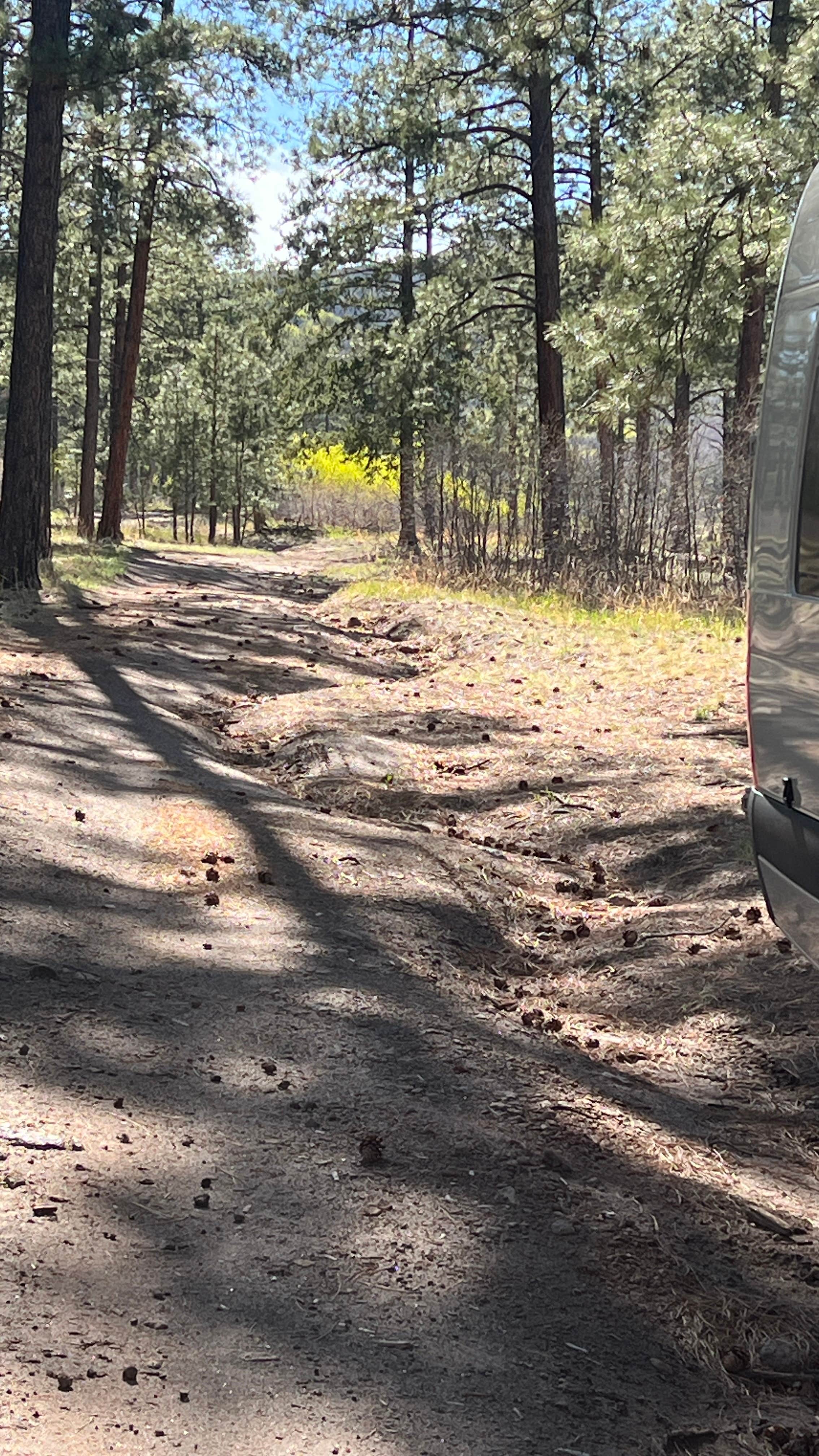 Camper submitted image from American Springs - 4