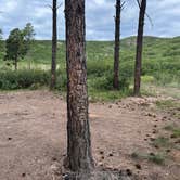 Review photo of American Springs by Byron M., July 21, 2025