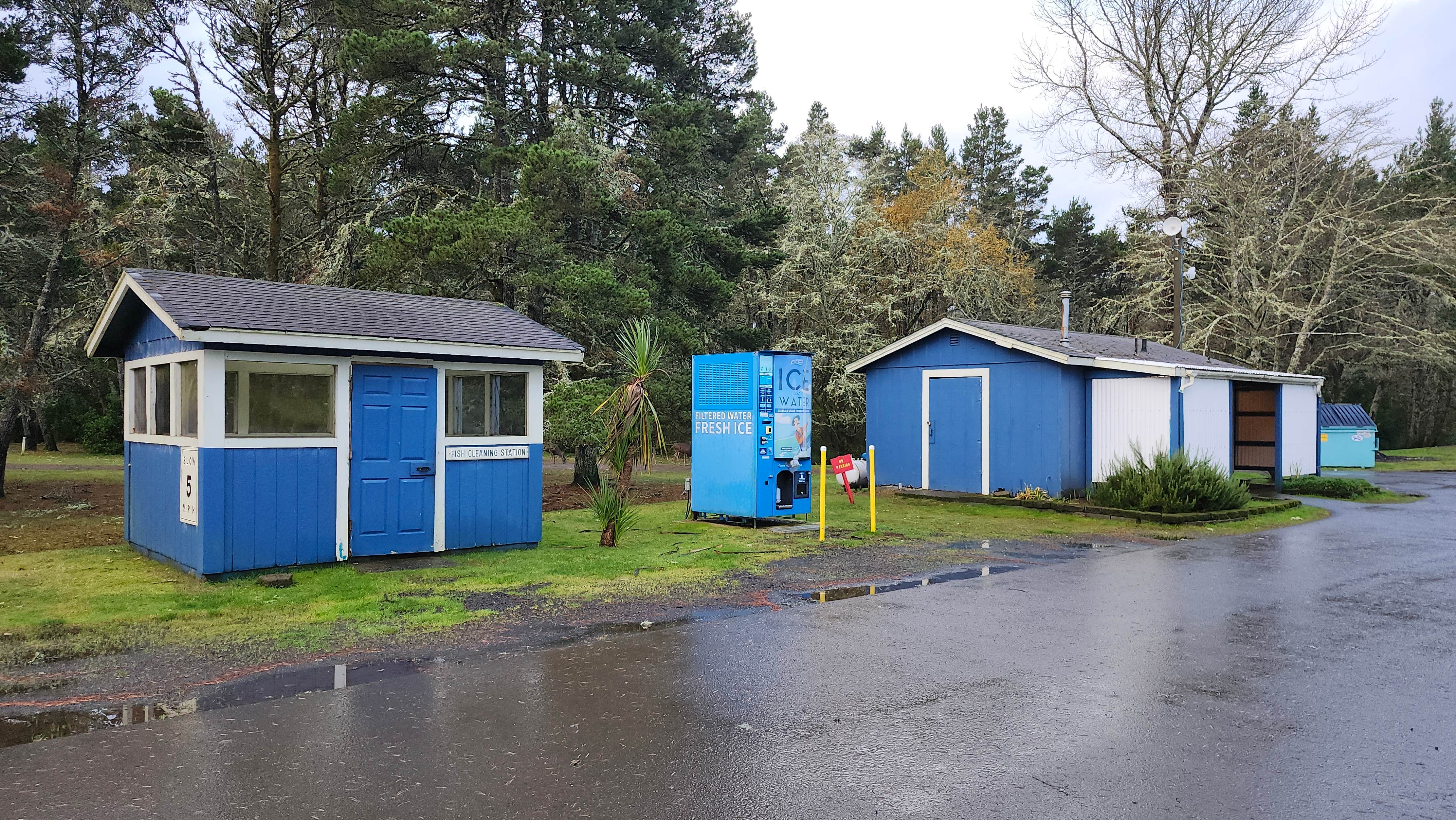 Camper-submitted photo at American Sunset RV & Tent Resort near Ocean Shores, WA