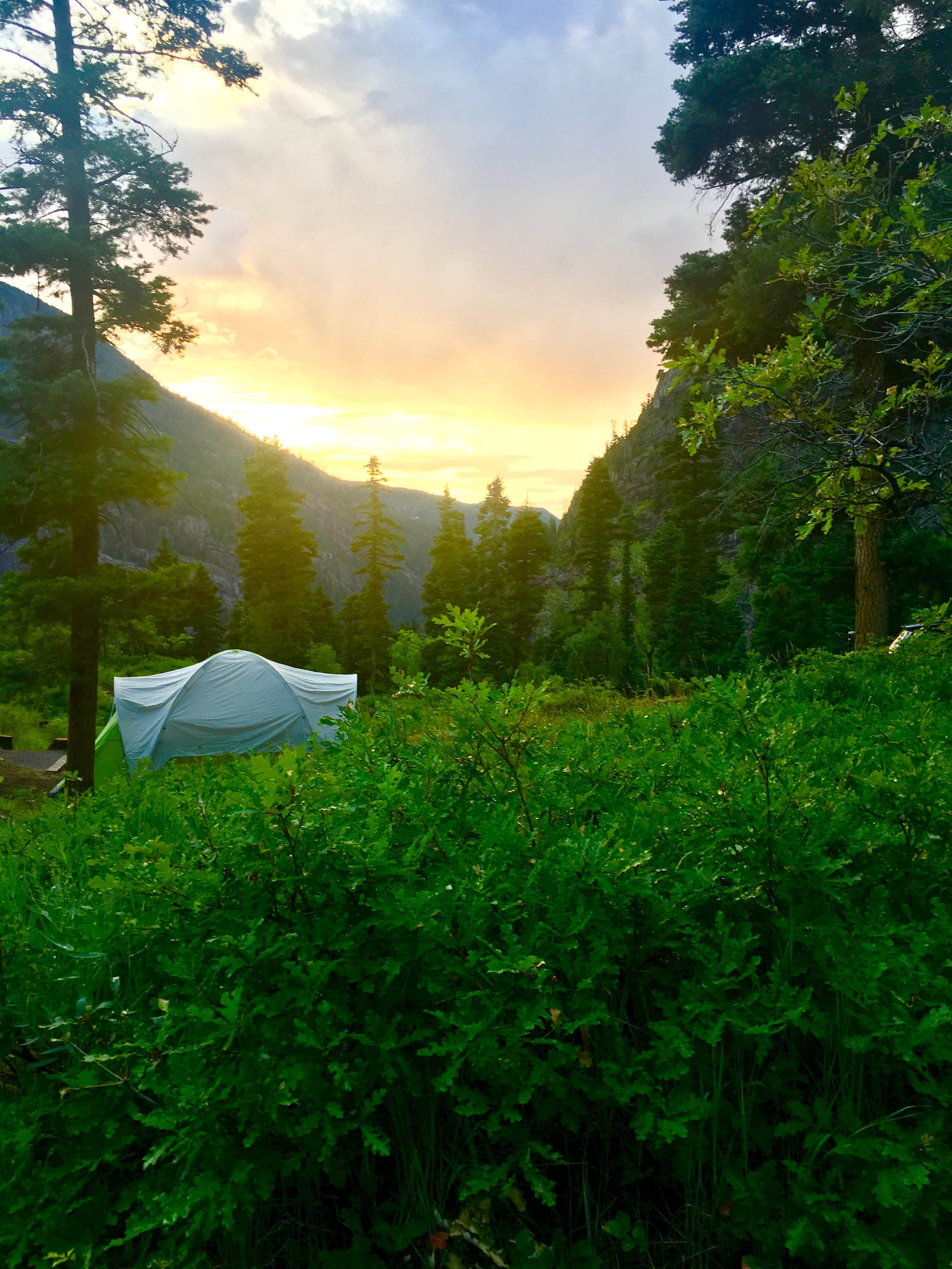 Paulina B.'s photo at Amphitheater Campground near Ouray, CO