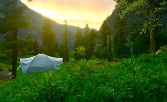 Paulina B.'s photo at Amphitheater Campground near Ouray, CO