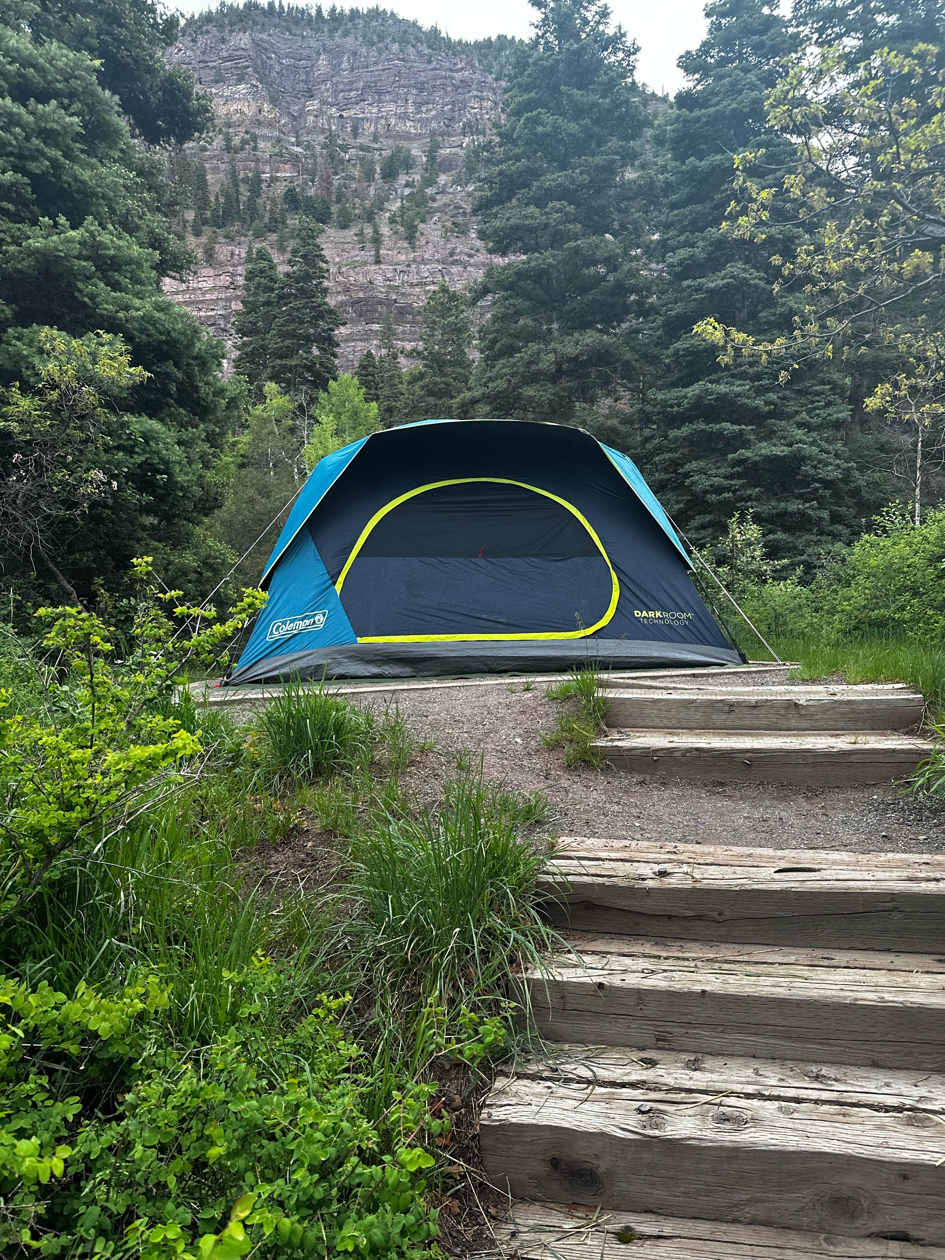 Quentin C.'s photo at Amphitheater Campground near Ridgway, CO