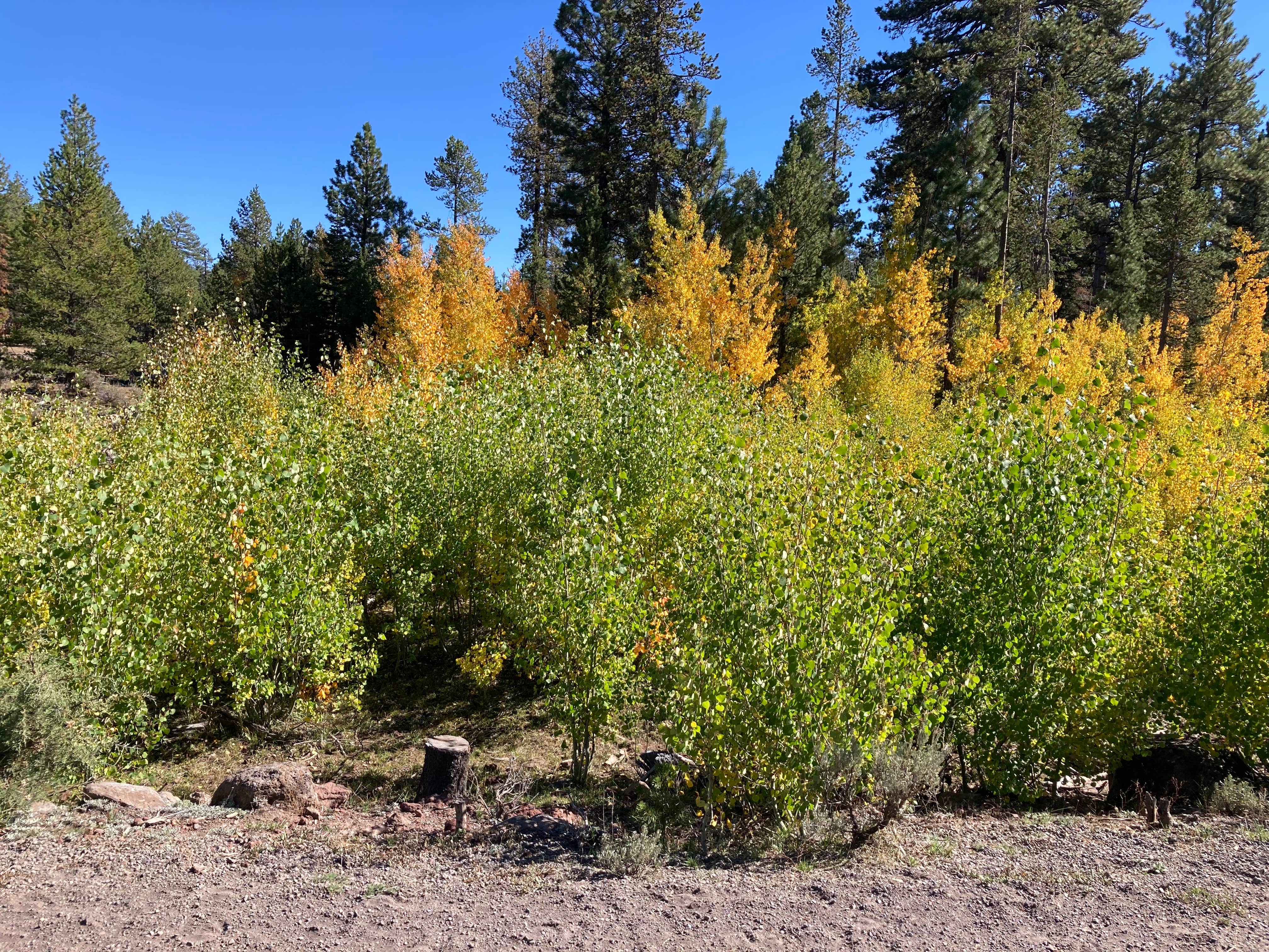 Camper-submitted photo at Ana Reservoir RV Park near Christmas Valley, OR