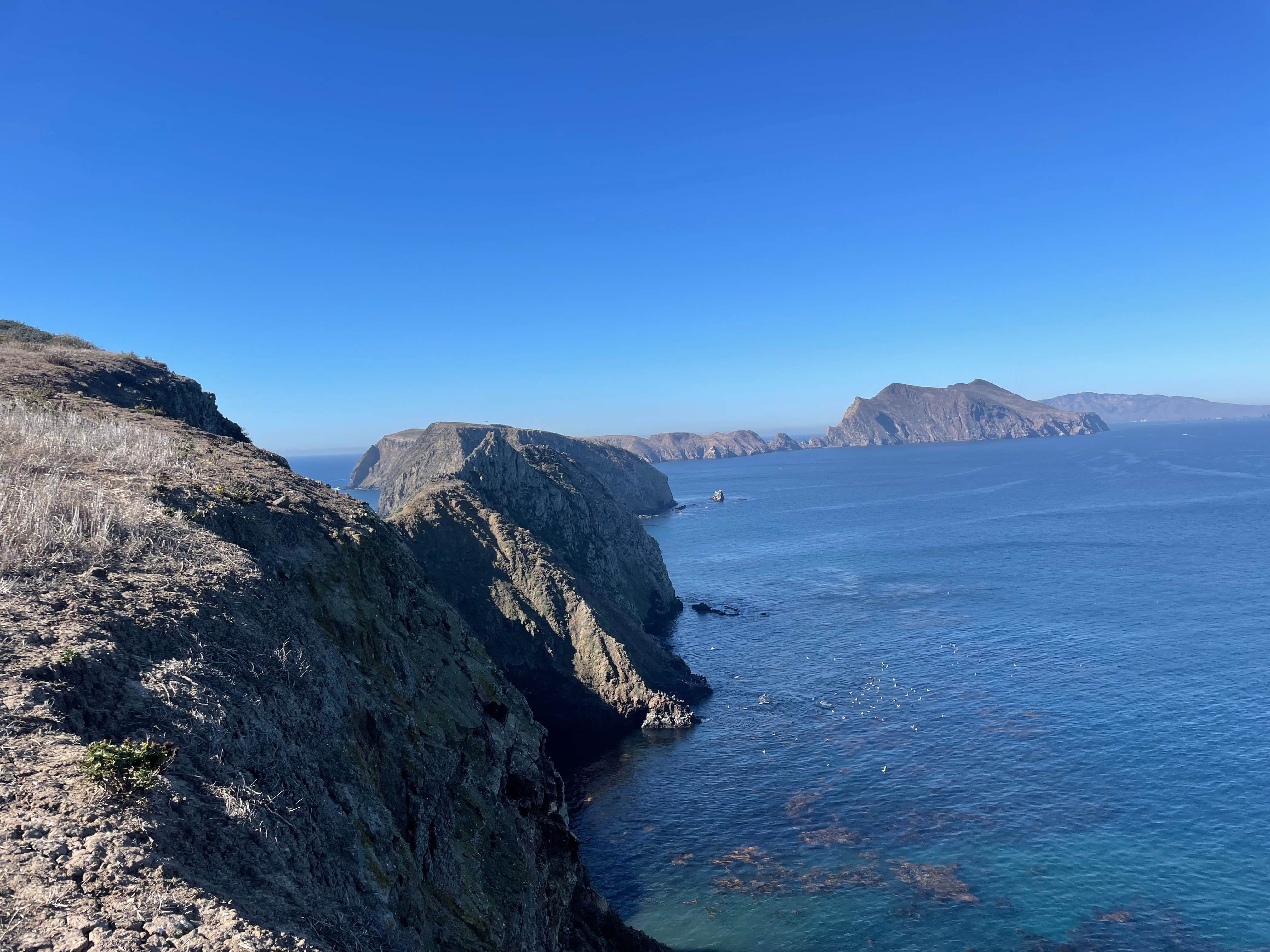 Camper submitted image from Anacapa Island in Channel Islands National Park - 3