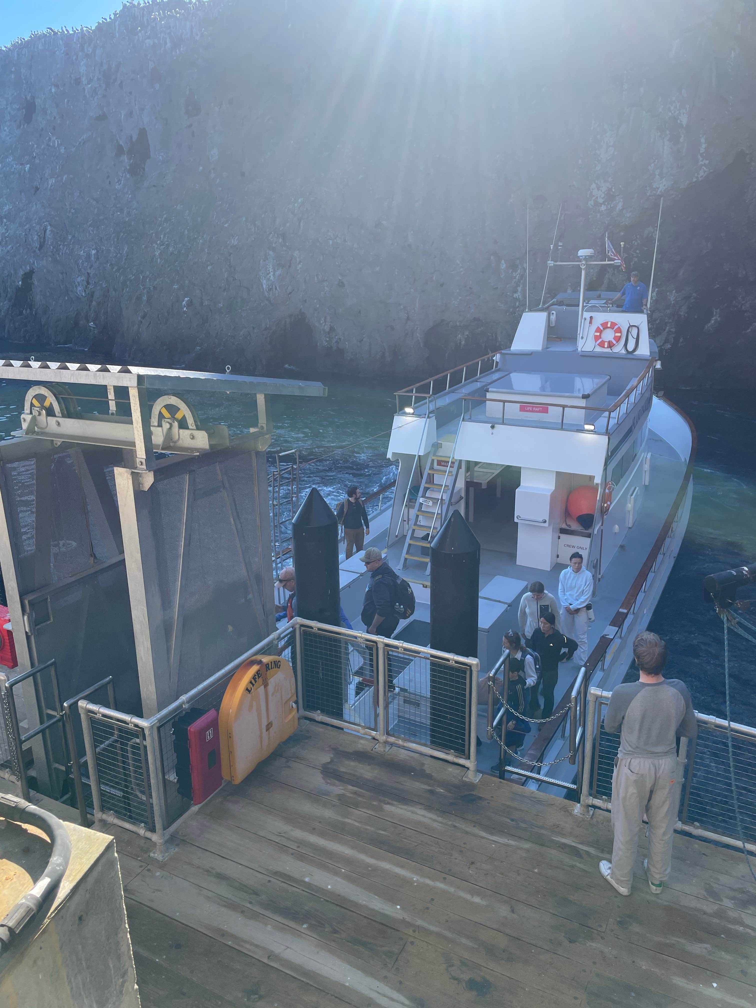 Camper submitted image from Anacapa Island in Channel Islands National Park - 4
