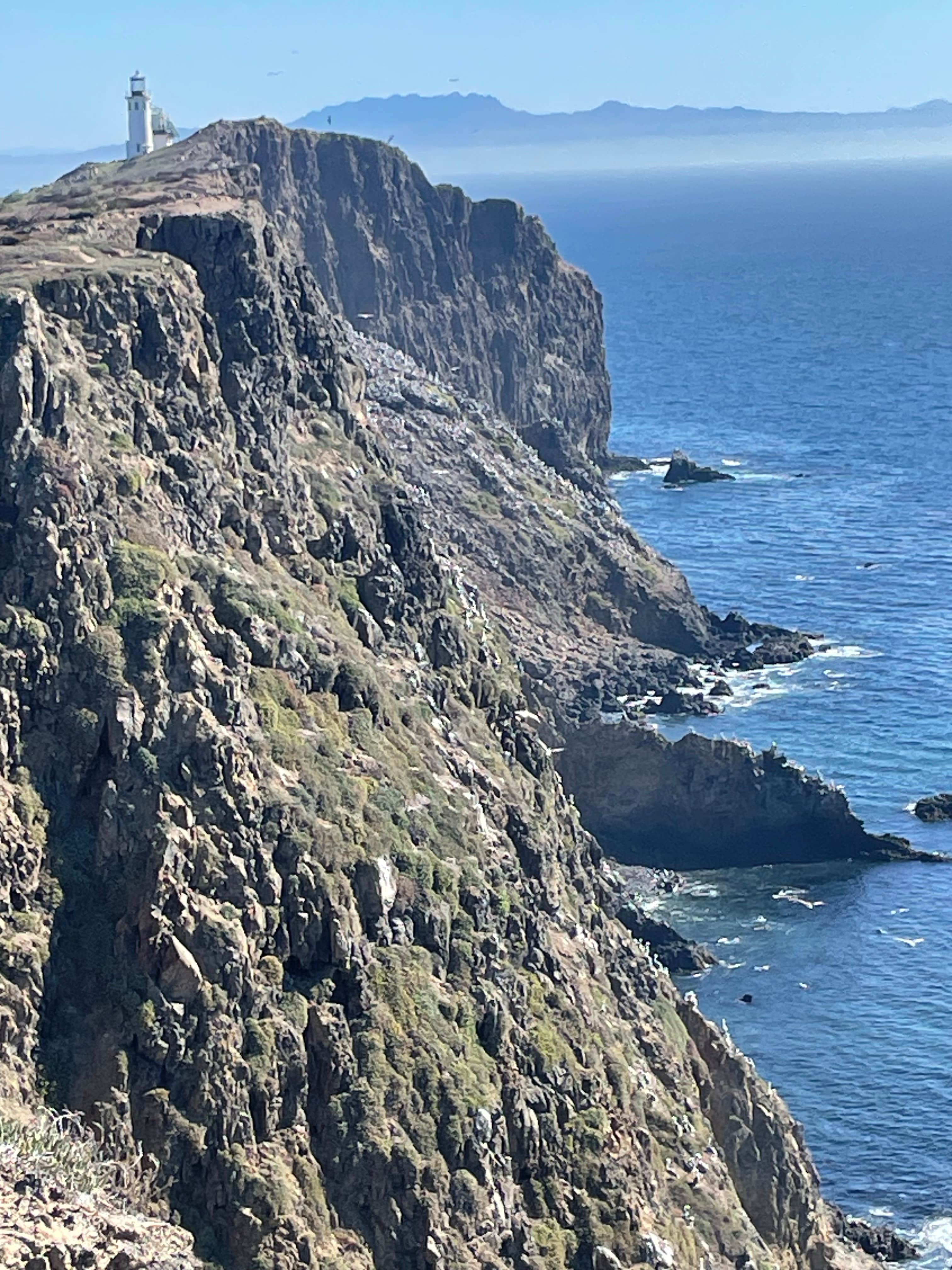 Camper-submitted photo at Anacapa Island in Channel Islands National Park near Ventura, CA