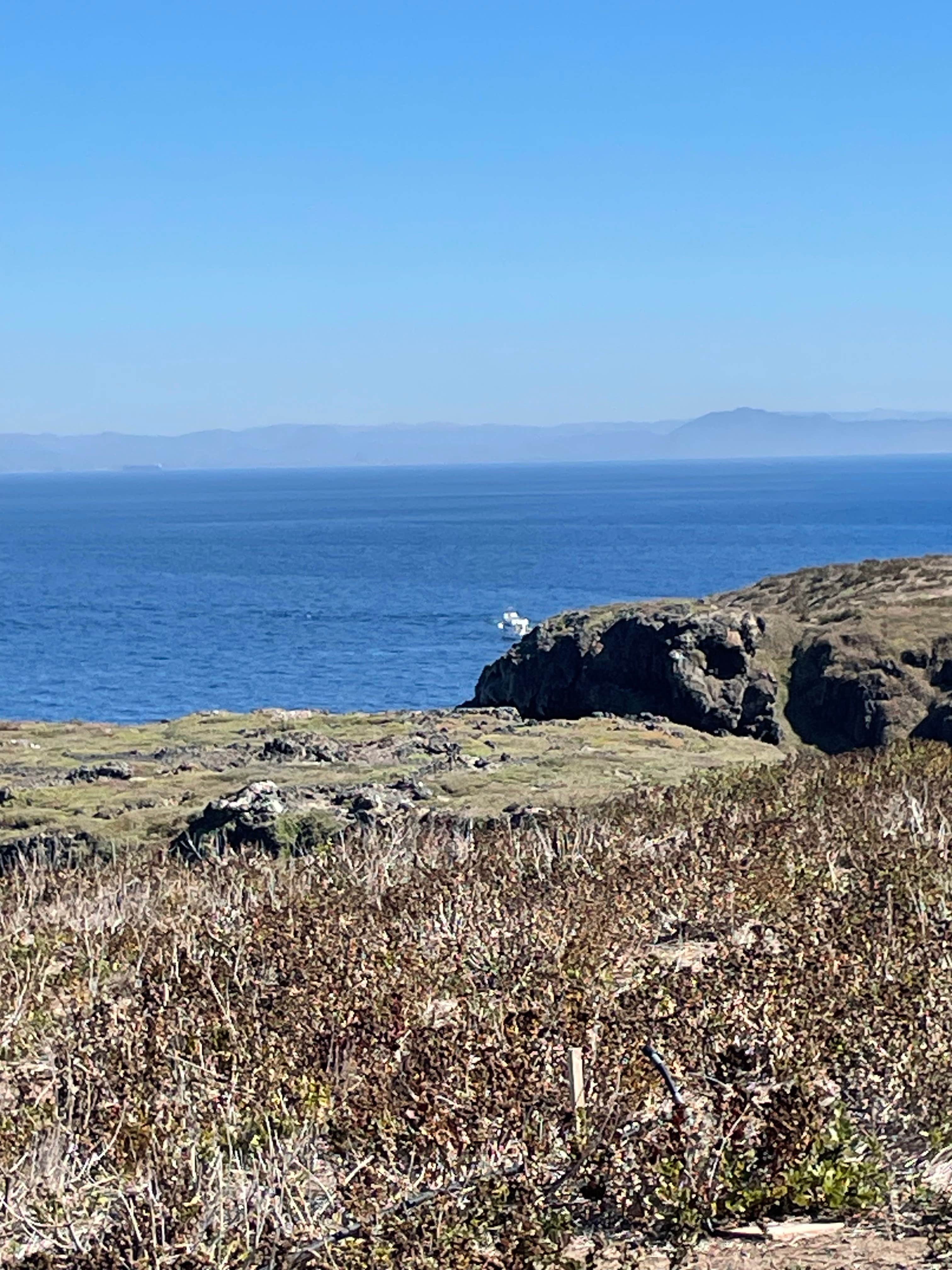 Camper submitted image from Anacapa Island in Channel Islands National Park - 2