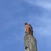 Review photo of Anastasia State Park Campground by Chloe S., August 29, 2025