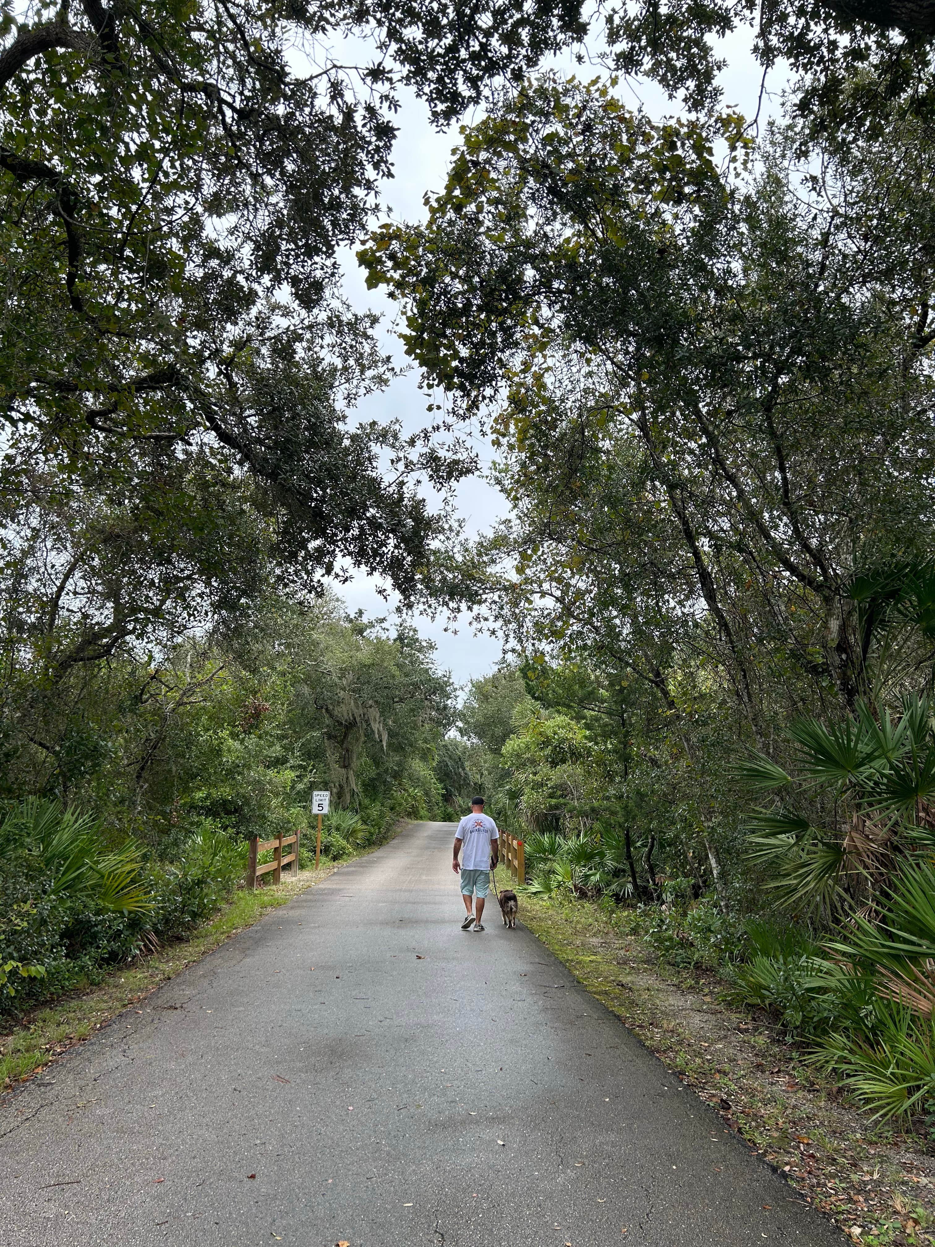 Mrs. F.'s photo of camping with pets at Anastasia State Park Campground near St. Augustine, FL