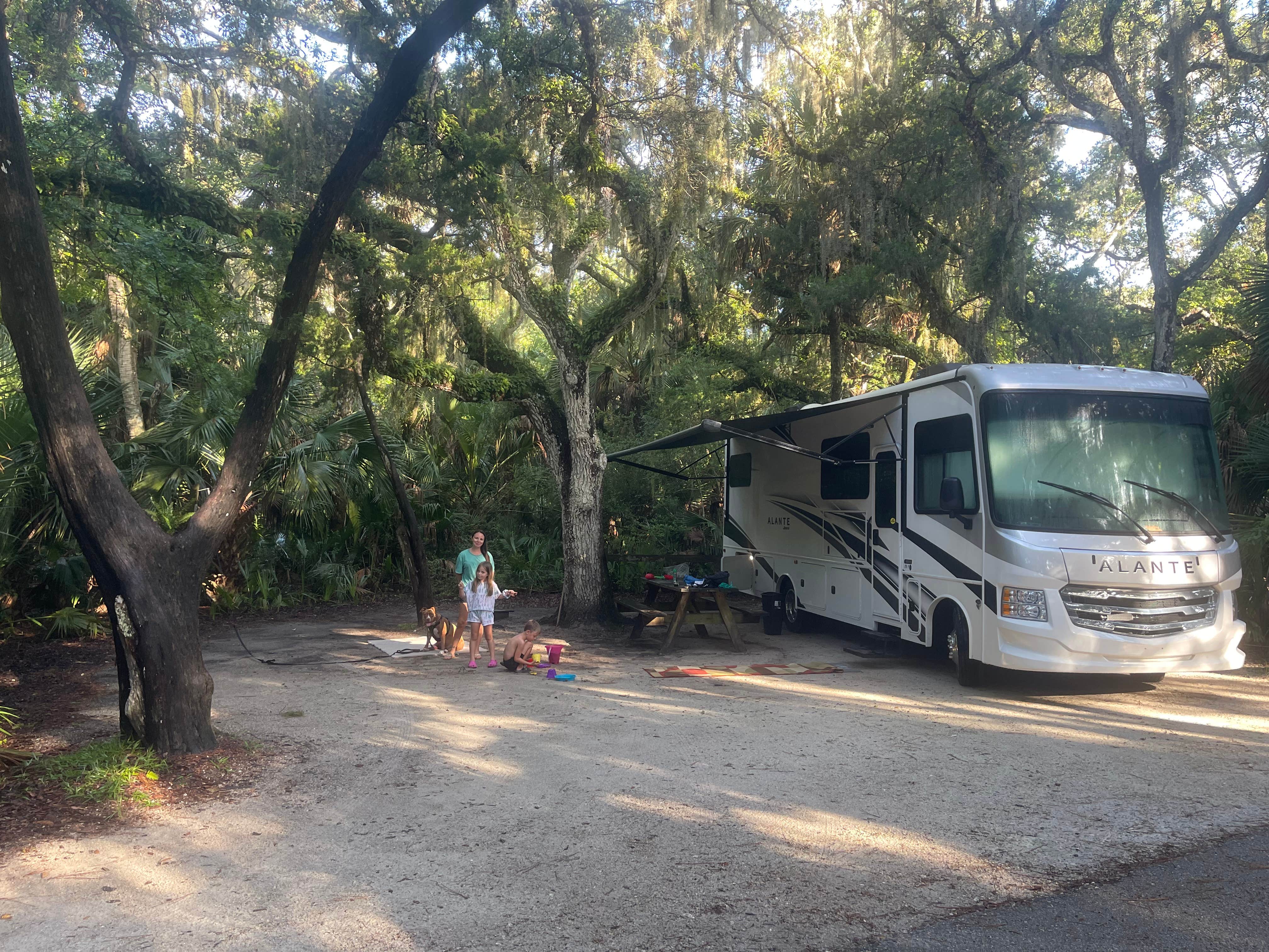 Joe R.'s photo of camping with pets at Anastasia State Park Campground in Florida