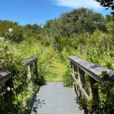 Review photo of Anastasia State Park Campground by Chloe S., August 29, 2025