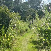 Review photo of Anastasia State Park Campground by Chloe S., August 29, 2025