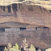 Review photo of Ancient Cedars Mesa Verde RV Park by Kim C., April 8, 2026