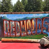 Review photo of Ancient Redwoods RV Park by Laura H., June 23, 2025