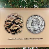 Review photo of Ancient Redwoods RV Park by Laura H., June 23, 2025