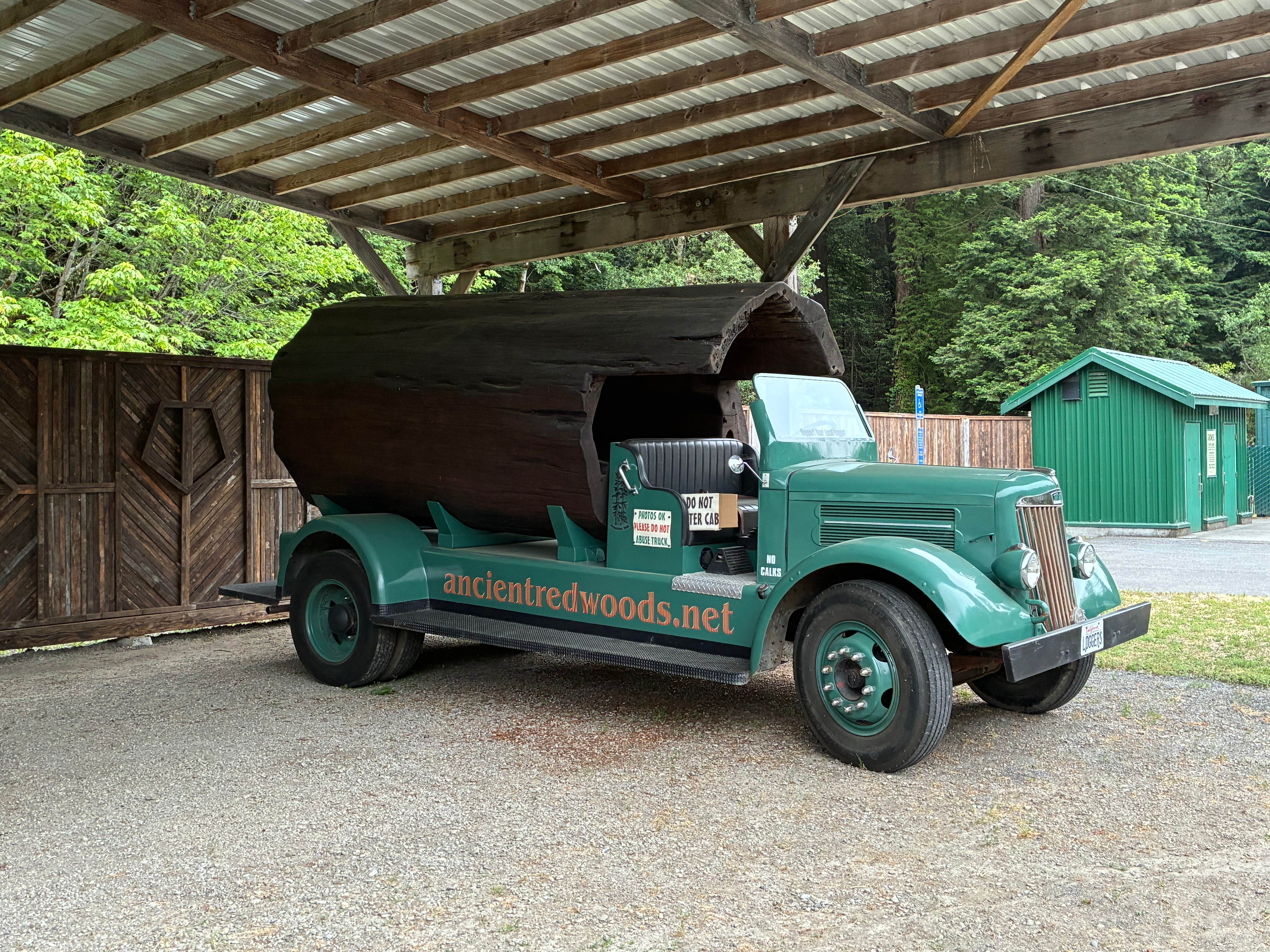 Camper-submitted photo at Ancient Redwoods RV Park near Bridgeville, CA