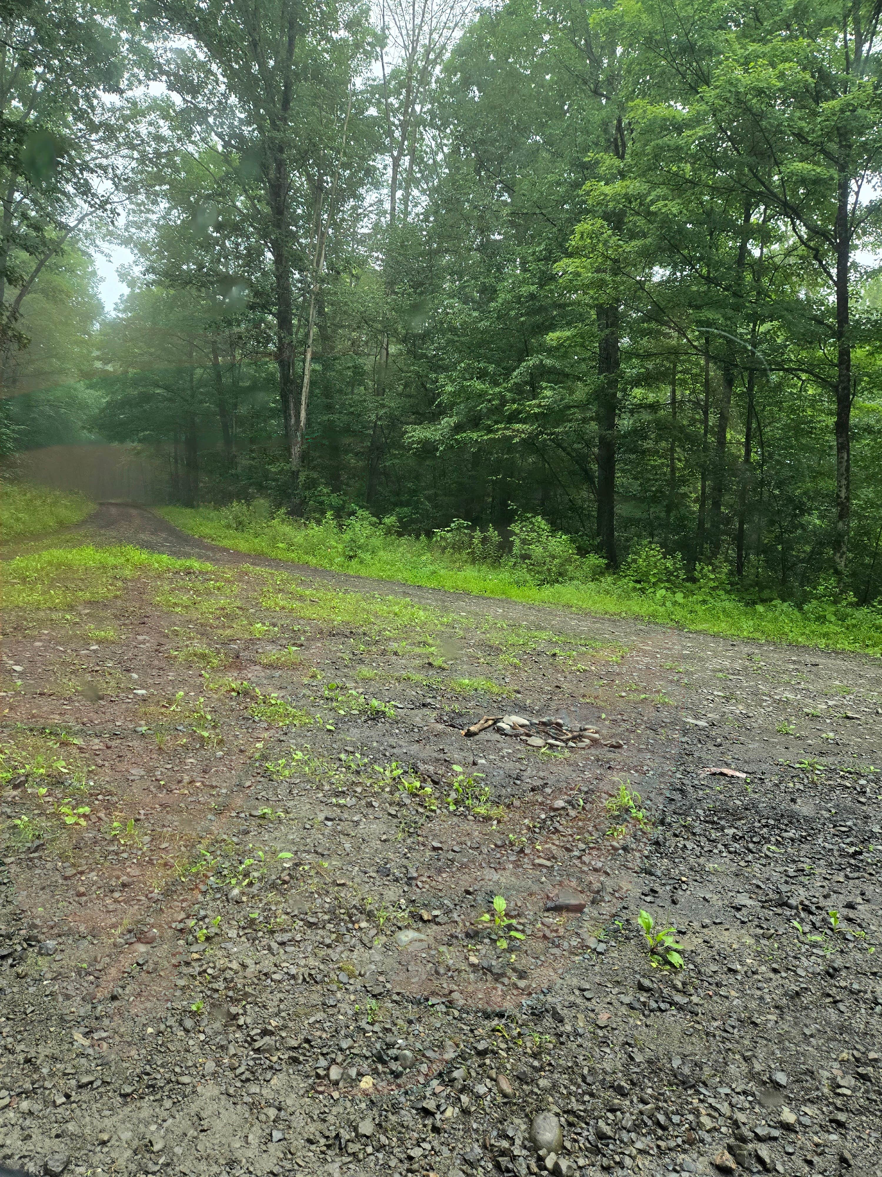 Andersen Hill State Forest