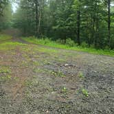 Review photo of Andersen Hill State Forest by Ashlee C., March 18, 2026