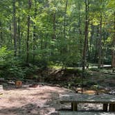 Review photo of Andrew's Cove Campground — Chattahoochee Oconee National Forest by Noah W., September 18, 2026