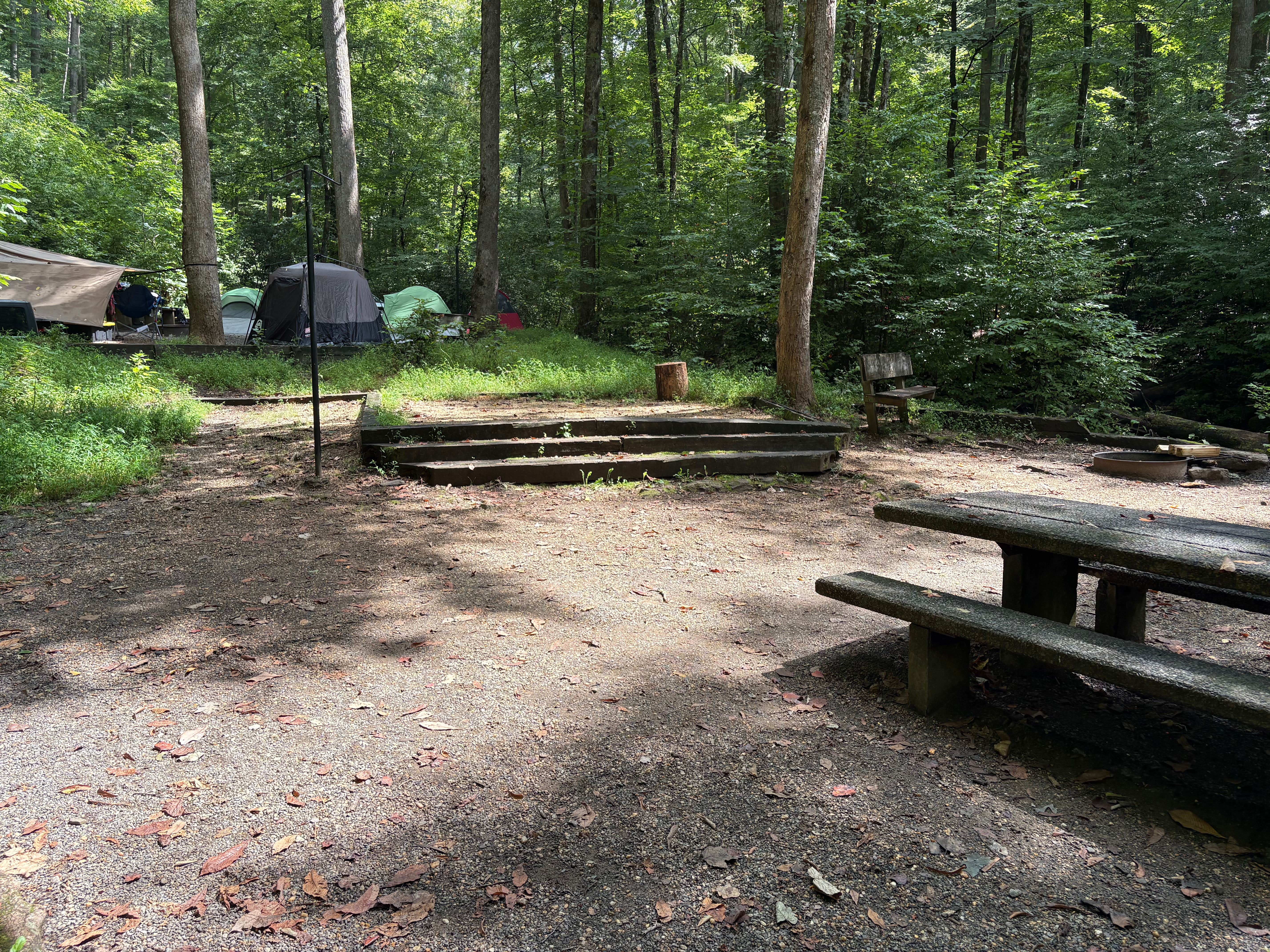 Camper-submitted photo at Andrew's Cove Campground — Chattahoochee Oconee National Forest near Cleveland, GA