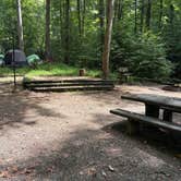Review photo of Andrew's Cove Campground — Chattahoochee Oconee National Forest by Taylor H., August 30, 2026