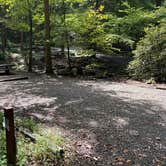 Review photo of Andrew's Cove Campground — Chattahoochee Oconee National Forest by Taylor H., August 30, 2026